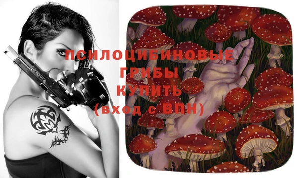 прущая мука Аркадак